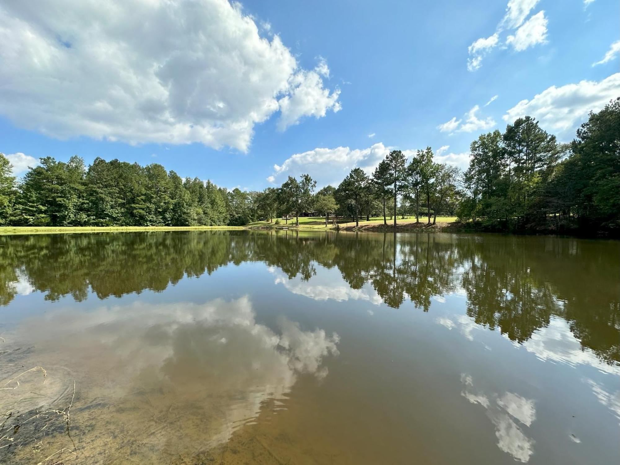 Refuge Ranch Retreat Log Cabin Lake 53+ Acres Locust Grove Exterior foto